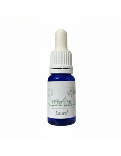 Laurel (Laurus nobilis) 12 ml – El Jardí de les Essències