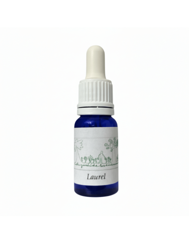 Laurel (Laurus nobilis) 12 ml – El Jardí de les...