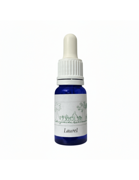 Laurel (Laurus nobilis) 12 ml – El Jardí de les Essències
