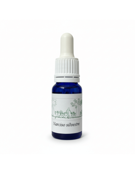 Narciso silvestre (Narcissus pseudonarcissus) 12 ml – El Jardí de les Essències