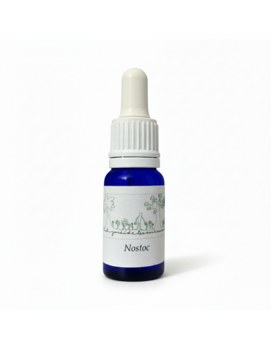 Nostoc (Nostoc commune) 12 ml – El Jardí de les...