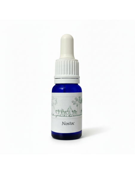Nostoc (Nostoc commune) 12 ml – El Jardí de les Essències
