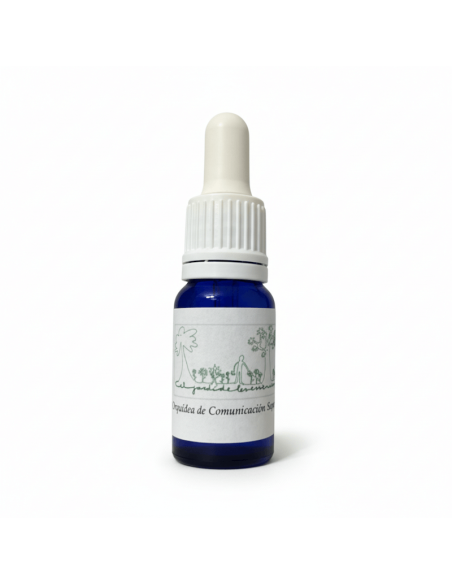Orquídea de Comunicación Superior 12 ml – El Jardí de les Essències