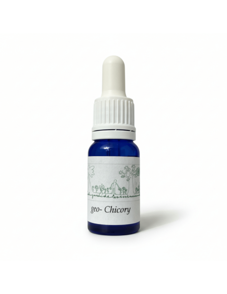 Geo-Chicory 12 ml – Flores de Bach en geoda mineral (El Jardí de les Essències)