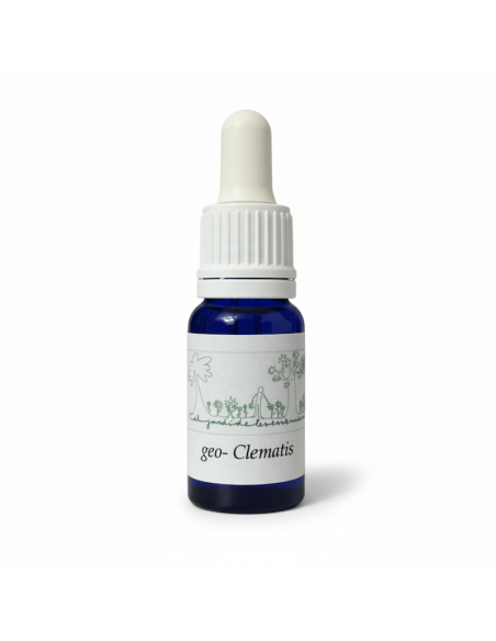 Geo-Clematis 12 ml – Flores de Bach en Geoda Mineral (El Jardí de les Essències)