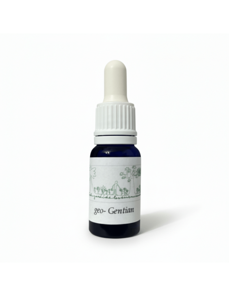 Geo-Gentian 12 ml – Flores de Bach en Geoda Mineral (El Jardí de les Essències)