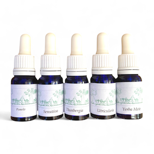 El Jardí de Les Essències